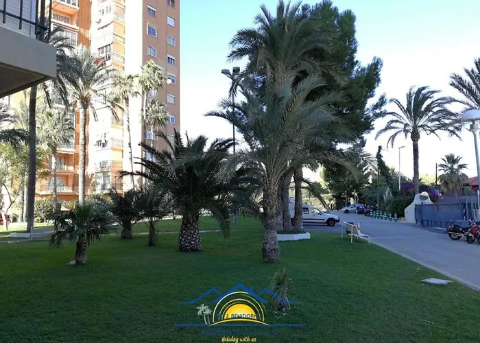 Torre Vii *